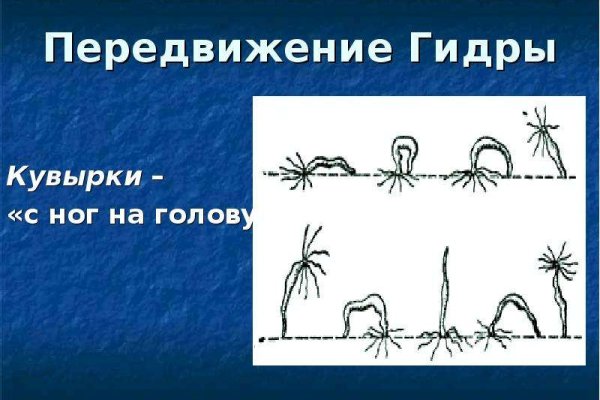 Кракен зеркало орион