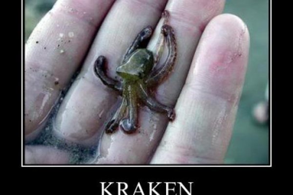 Kraken13 at сайт