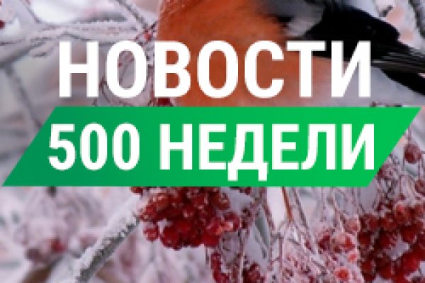 Как найти ссылку на кракен