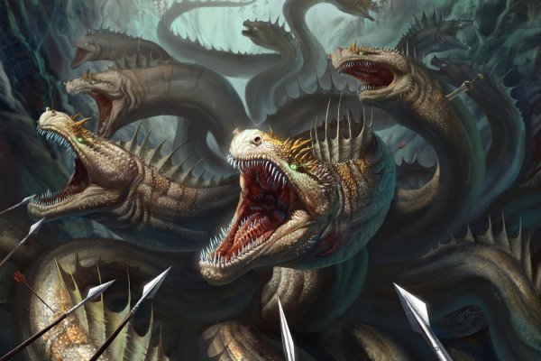 Kraken 13at