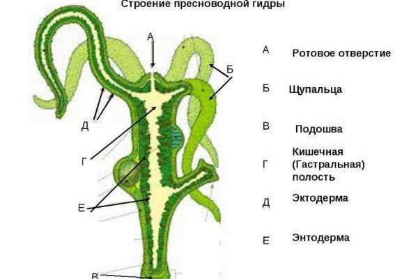 Ссылка на кракен onion kraken dark link