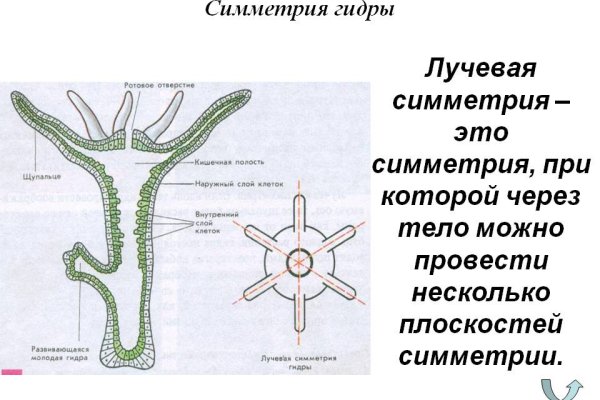 Кракен маркетплейс скачать