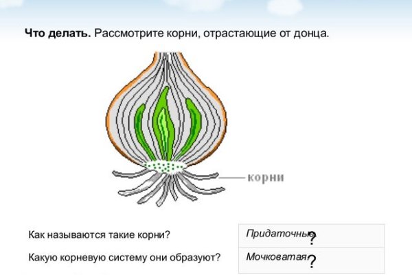 Кракен онион ссылки
