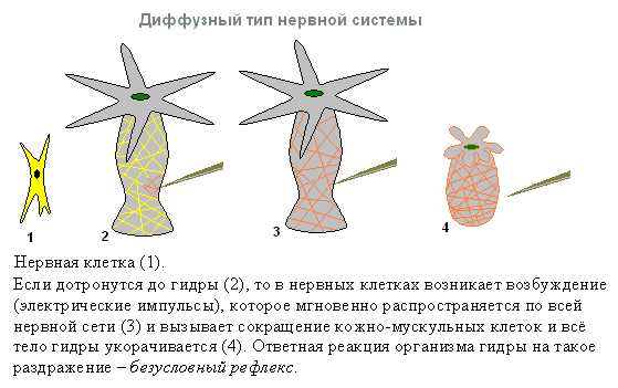 Кракен официальный сайт ссылка